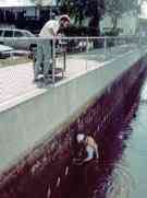 Checking for weak panels in a seawall
